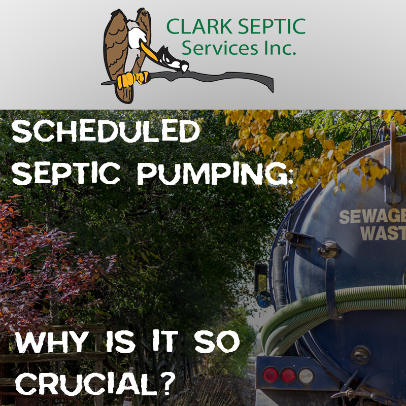 Scheduled Septic Pumping Why Is it So Crucial? Clark Septic, Orlando, FL